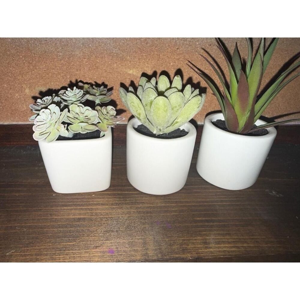 Unbranded multi Decor-home-accesories